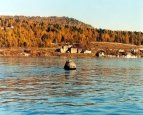 Байкал